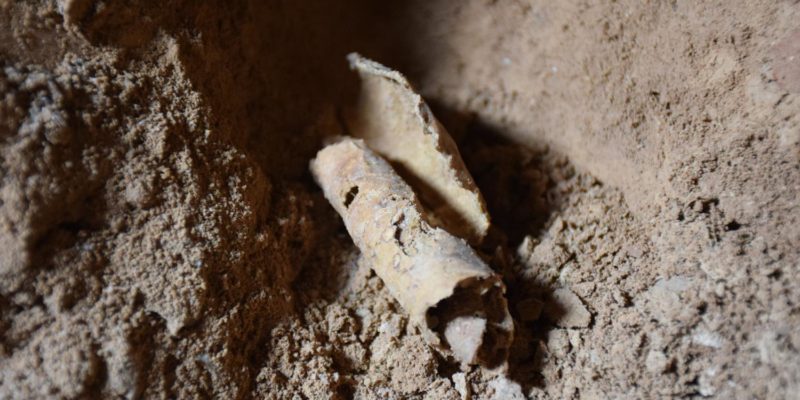 Archaeology