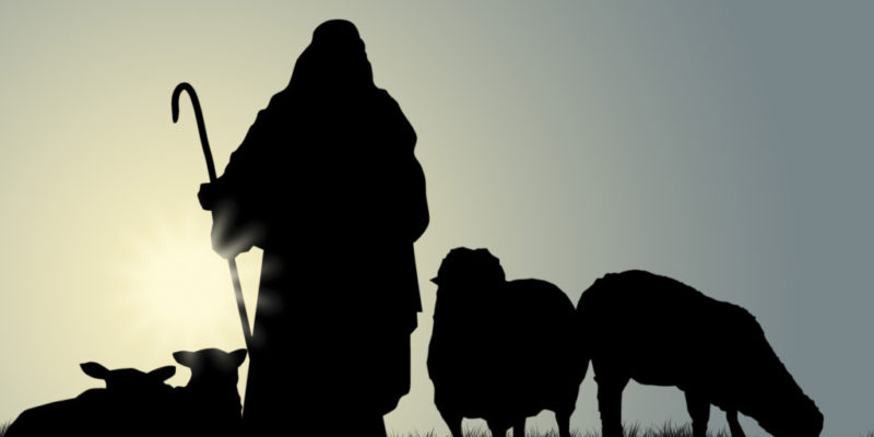 Shepherd and Sheep