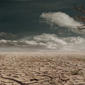 Desert Drought