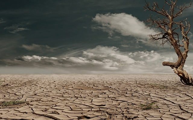 Desert Drought