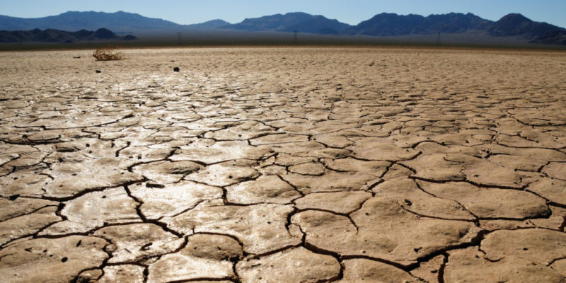 Drought