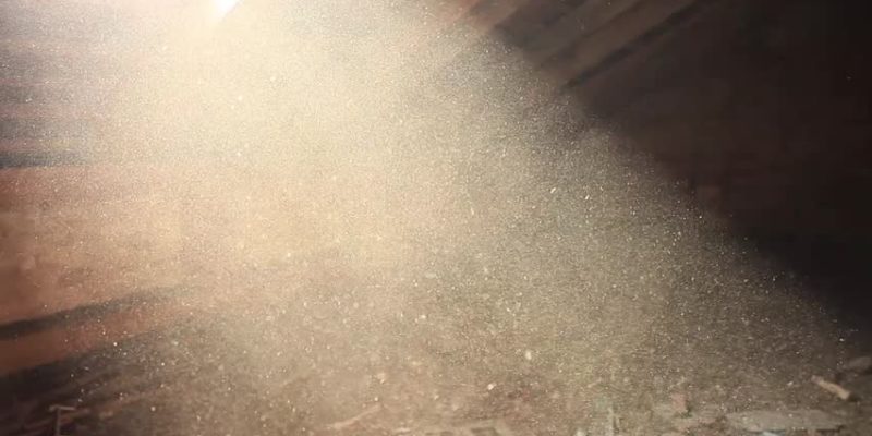 Dust Light