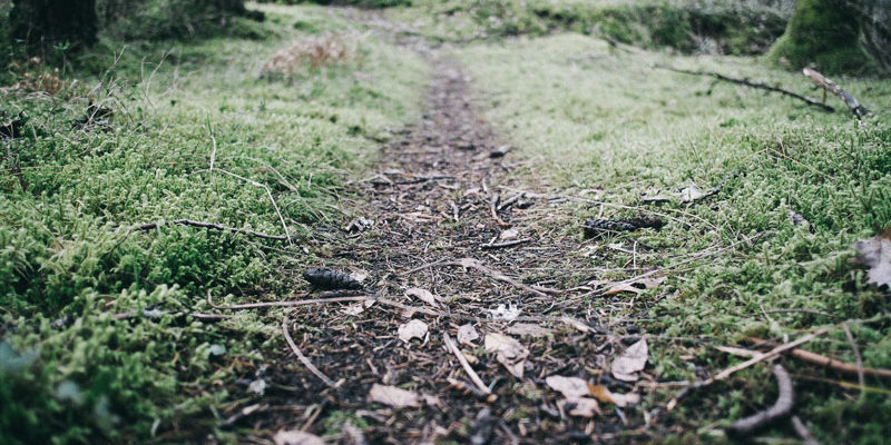 Path